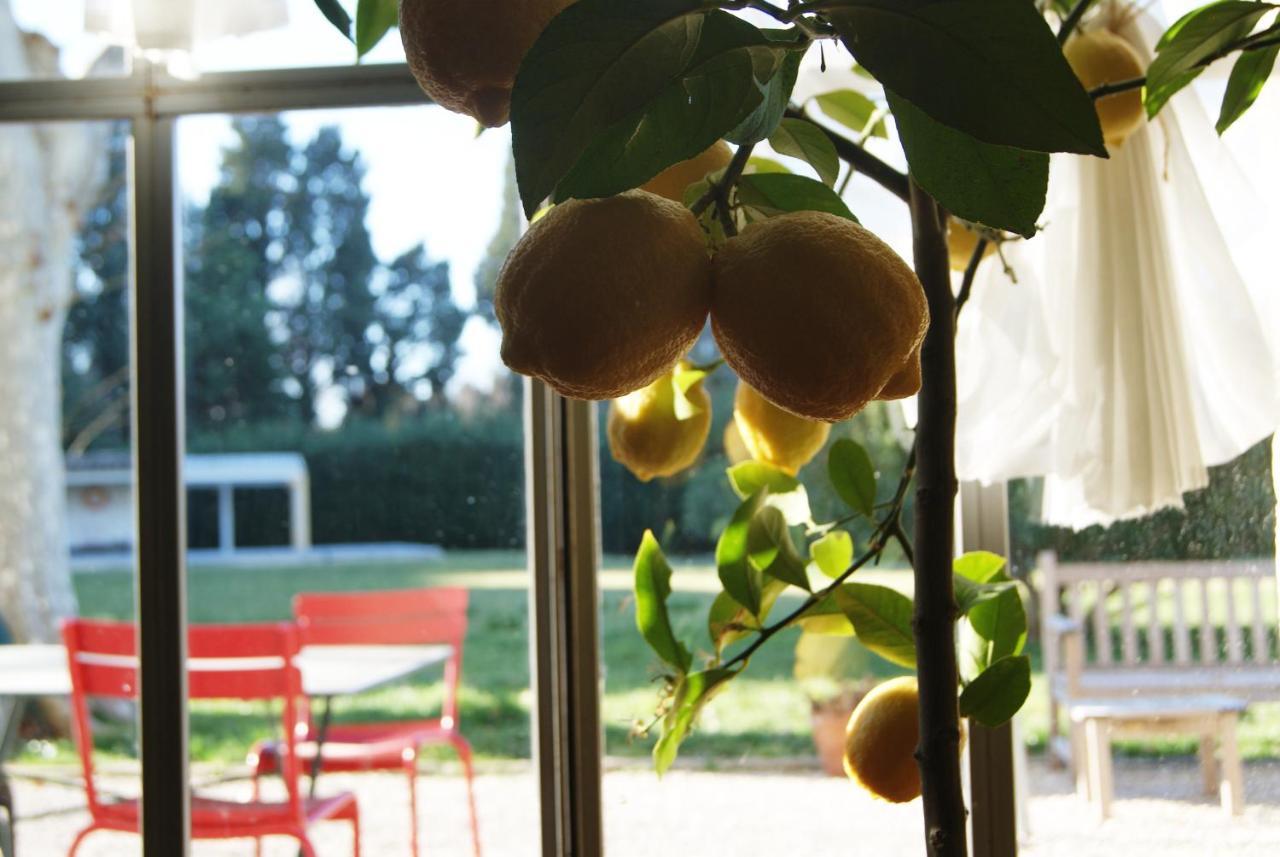 La Ferme De Gigognan Bed & Breakfast Avignon Exterior photo